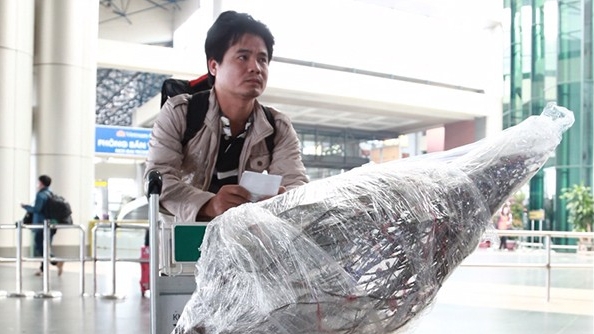 Vietnam Airlines tăng giá vận chuyển đào, mai dịp Tết