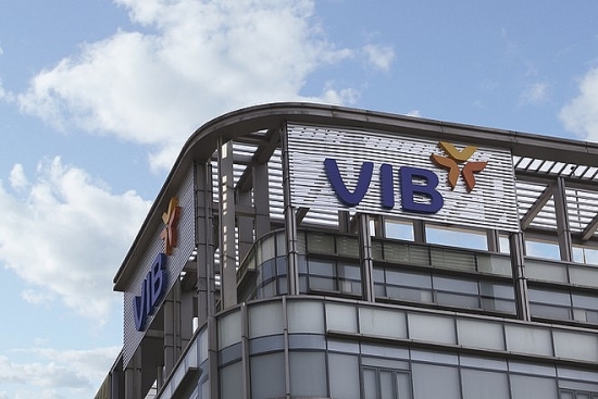 VIB công bố lợi nhuận vượt 8.000 tỷ đồng năm 2021, tăng trưởng 38%