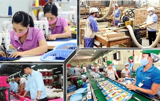 Nhiều mặt hàng chủ lực của Việt Nam được hưởng lợi từ EVFTA