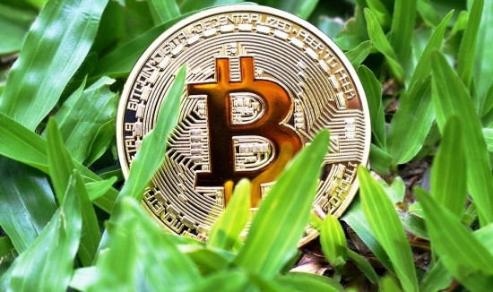 Giá Bitcoin hôm nay 4/8: Bitcoin tăng trở lại, thị trường tràn ngập sắc xanh