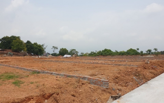 Vĩnh Phúc sắp đấu giá 14 thửa đất huyện Tam Dương, khởi điểm từ 568 triệu đồng/thửa