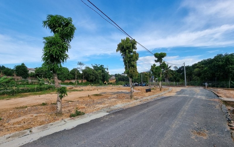Phú Thọ: Đấu giá 30 ô đất huyện Yên Lập, khởi điểm từ 242 triệu đồng/ô