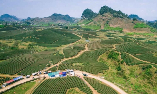 Sơn La sắp có Khu bảo tồn sinh thái nông nghiệp kết hợp homestay hơn 1.500 ha
