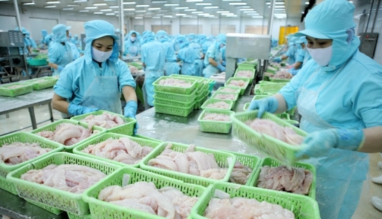 Xuất khẩu thủy sản Việt Nam: Chỉ có thị trường Mỹ đang tăng trưởng