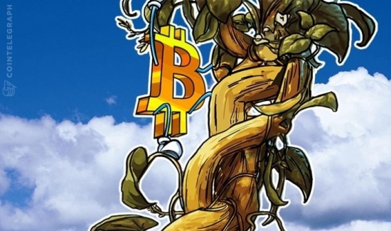 Giá Bitcoin hôm nay 21/11: Chưa có dấu hiệu ngừng tăng