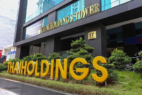 Thaiholdings muốn thoái hết vốn tại Tôn Đản Hà Nội, cổ phiếu THD có phiên tăng kịch trần