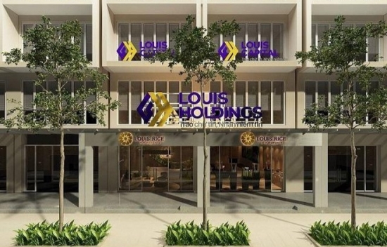 Louis Capital (TGG) thay đổi kế hoạch tăng vốn, muốn chào bán gần 41 triệu cổ phiếu