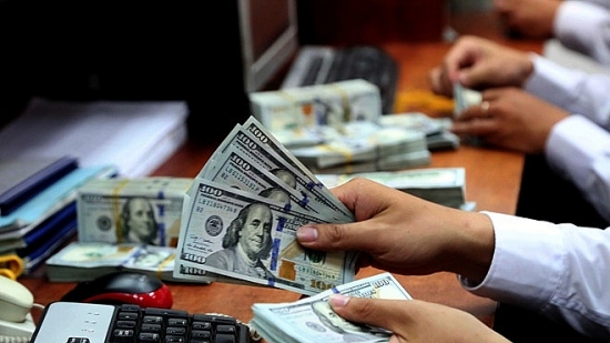 Kho bạc Nhà nước muốn thu mua ngoại tệ với khối lượng hơn 8.000 tỷ đồng