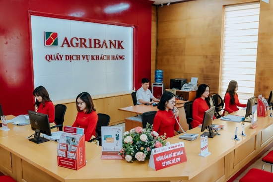 Agribank liên tục bán đấu giá để thu hồi nợ
