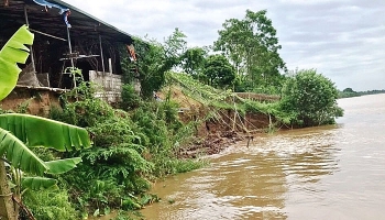 Hà Nam: Bất ngờ với nhà thầu trúng gói thầu xử lý cấp bách sạt lở, nâng cấp tuyến đê Hữu Hồng