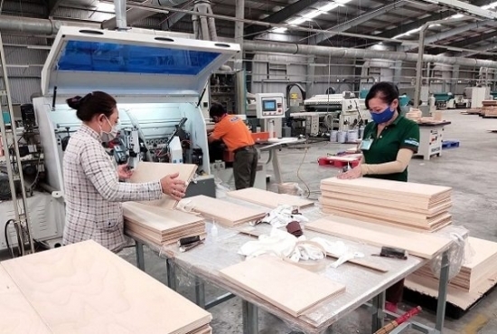 Rủi ro nào đang “rình rập” doanh nghiệp ngành gỗ trong năm 2022?