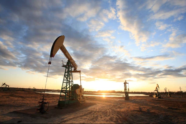 Sau một năm 'chơi bập bênh', giá dầu thô sẽ về đâu trong năm 2022?