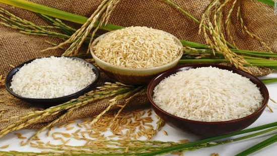 Giá lúa gạo hôm nay 12/1: Giảm nhẹ với một số giống lúa