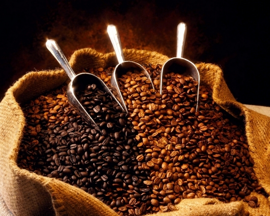 Giá cà phê hôm nay 16/1: Giảm 1.100 đồng/kg trong tuần qua