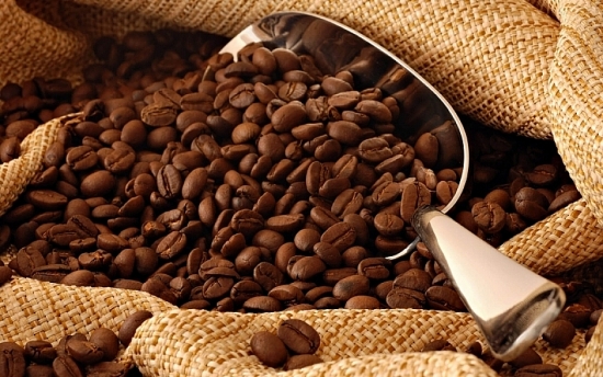 Giá cà phê hôm nay 17/1: Tiếp tục tăng trên thị trường thế giới