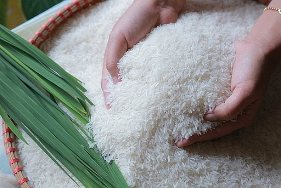 Giá lúa gạo hôm nay 19/1: Giá lúa ổn định, giá gạo tiếp đà giảm