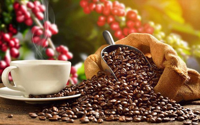 Giá cà phê hôm nay 22/1: Đồng loạt giảm trên thị trường thế giới