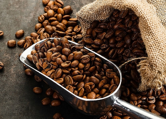 Giá cà phê hôm nay 25/1: Tiếp đà giảm, giá robusta đạt mức 2.197 USD/tấn