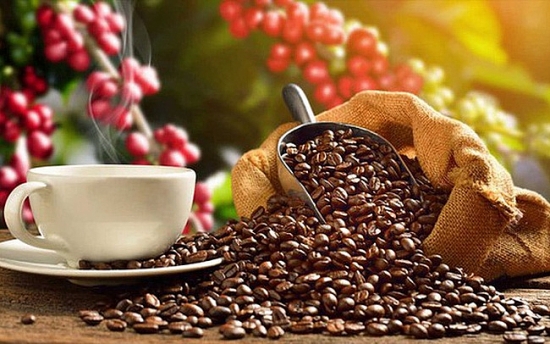 Giá cà phê hôm nay 6/3: Các địa phương giảm 1.300 đồng/kg trong tuần qua