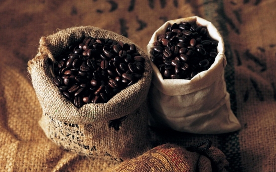 Giá cà phê hôm nay 10/3: Tăng nhẹ tại thị trường trong nước