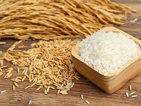 Giá lúa gạo hôm nay 11/3: Nếp Long An (tươi) tăng 100 đồng/kg
