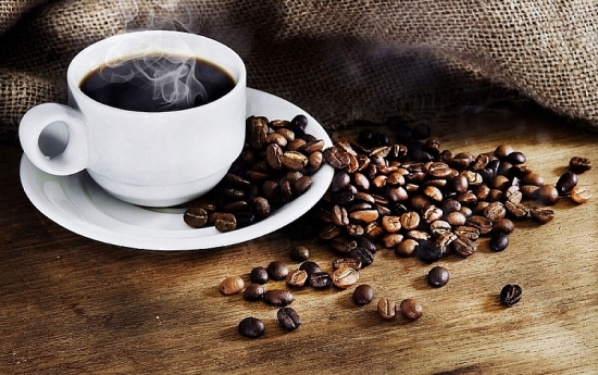 Giá cà phê hôm nay 13/3: Tăng 1.100 đồng/kg trong tuần