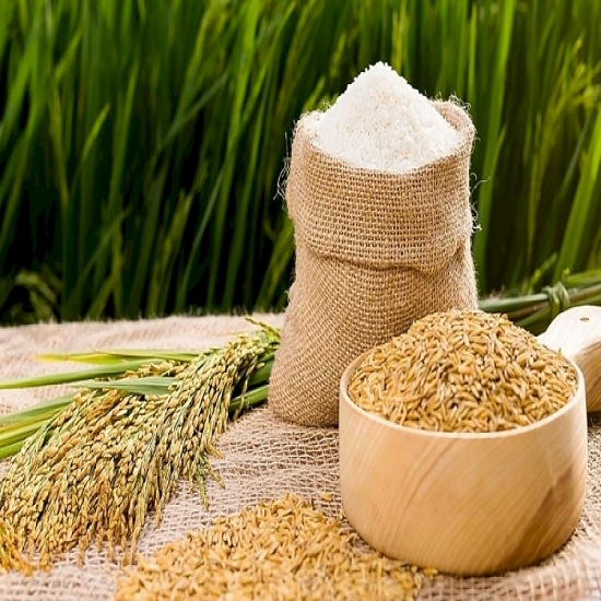 Giá lúa gạo hôm nay 19/3: Giá gạo xuất khẩu bật tăng trở lại