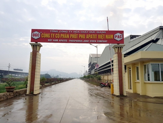 25 triệu cổ phiếu Phốt pho Apatit Việt Nam (PAT) sắp chào sàn UPCoM