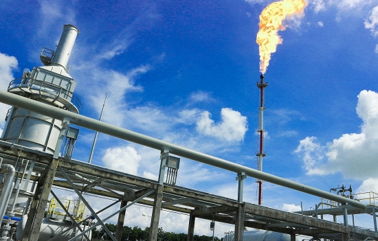 pv gas gas chi nui tien tra co tuc nam 2021