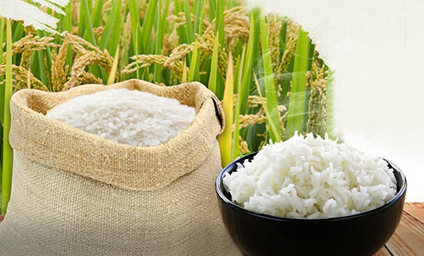Giá lúa gạo hôm nay 3/12: Tăng nhẹ