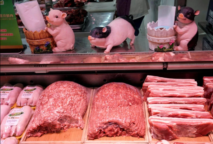 Rabobank dự đoán năm 2022, sản lượng heo của Trung Quốc tăng nhưng giá thịt heo duy trì ở mức thấp
