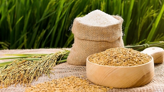Giá lúa gạo hôm nay 6/12: Giảm nhẹ trong ngày đầu tuần