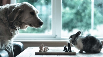 “Thợ săn quản lý bầy chó” – Bài học cho nhà lãnh đạo