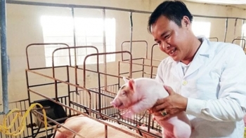 Dứt giấc mơ “ông chủ thầu” về quê nuôi lợn, người đàn ông tuổi 40 sở hữu HTX doanh thu triệu đô
