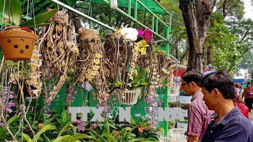 nhon nhip thi truong hoa tet thua thien hue