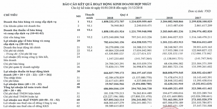 nam 2018 tap doan ha do bao lai rong dat 607 ty dong