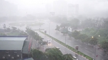 Năm 2019 sẽ có 4-5 cơn bão ảnh hưởng trực tiếp đến Việt Nam
