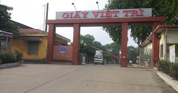 Loạt lãnh đạo CTCP Giấy Việt Trì (GVT) bị xử phạt vì vi phạm công bố thông tin