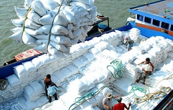 Việt Nam trúng thầu 60.000 tấn gạo xuất khẩu sang Philippines