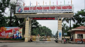 lai rong gang thep thai nguyen chi dat 413 ty dong trong quy ii giam 44 so voi cung ky