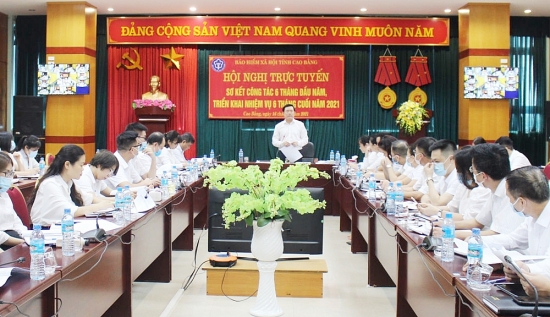 Số nợ BHXH, BHYT và BHTN của tỉnh Cao Bằng thấp nhất cả nước