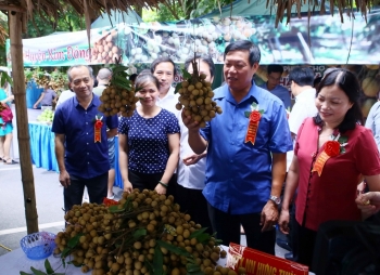 Từ 25-26/8, tại KĐT Ecopar đã diễn ra phiên chợ nhãn lồng Hưng Yên năm 2018