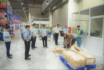 Bắt giữ số lượng lớn ngà voi và vẩy tê tê tại Cửa khẩu Sân bay quốc tế Nội Bài