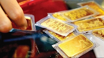 Cập nhật giá vàng mới nhất sáng 13/9: Vàng tăng đến 350 ngàn đồng/lượng so với sáng hôm qua