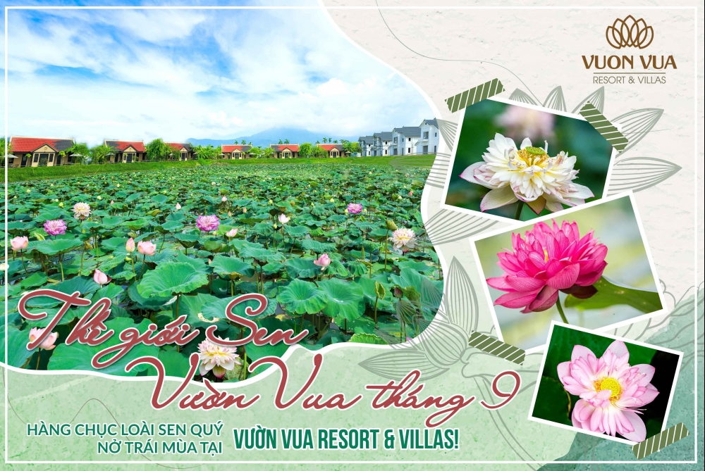 Vườn Vua Resort & Villas: Tiến gần hơn đến mục tiêu hình thành Festival hoa sen Quốc tế