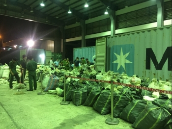 Hải quan Đà Nẵng bắt giữ lô hàng “khủng” với 6 tấn vảy tê tê và 2 tấn ngà voi