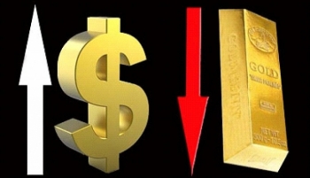 Cập nhật giá vàng mới nhất chiều ngày 1/10: Mất hơn nửa triệu đồng, vàng trượt mốc 41 triệu đồng/lượng