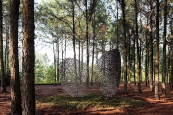 Triển lãm Art In The Forest 2019: Tự hào nửa thập kỷ kiến tạo nghệ thuật