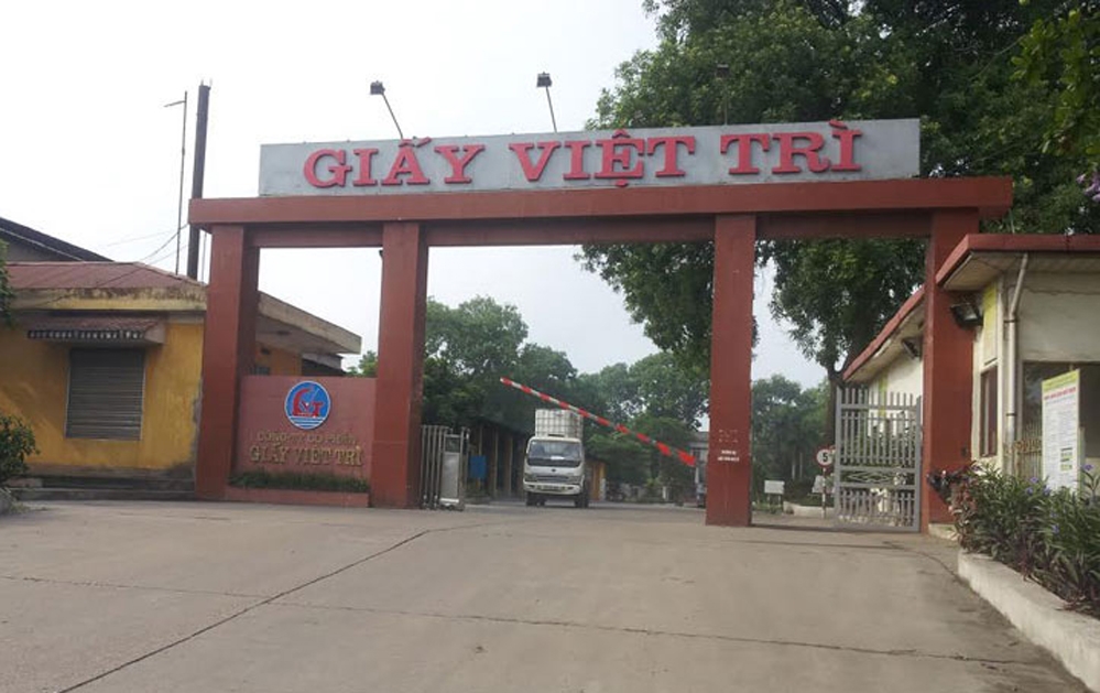 tong cong ty giay viet nam chao ban 213 trieu cp giay viet tri voi gia 27100 dongcp