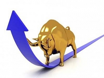 Thị trường chứng khoán ngày 29/11: Kết phiên cuối tuần với sắc xanh nhạt